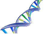 DNA